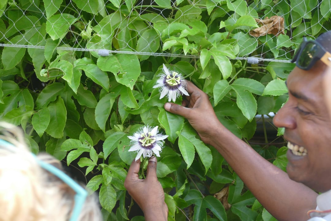 Back of the House Tour Kuredu Island Resort & Spa