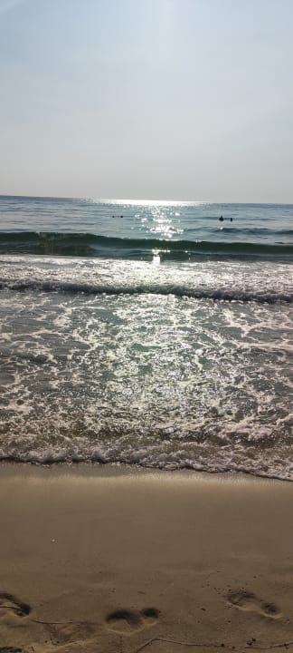 Strand Alexandra Golden Boutique - Adults only