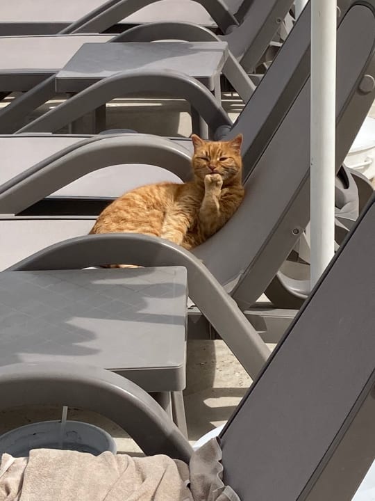 Sonstiges VONRESORT Golden Coast