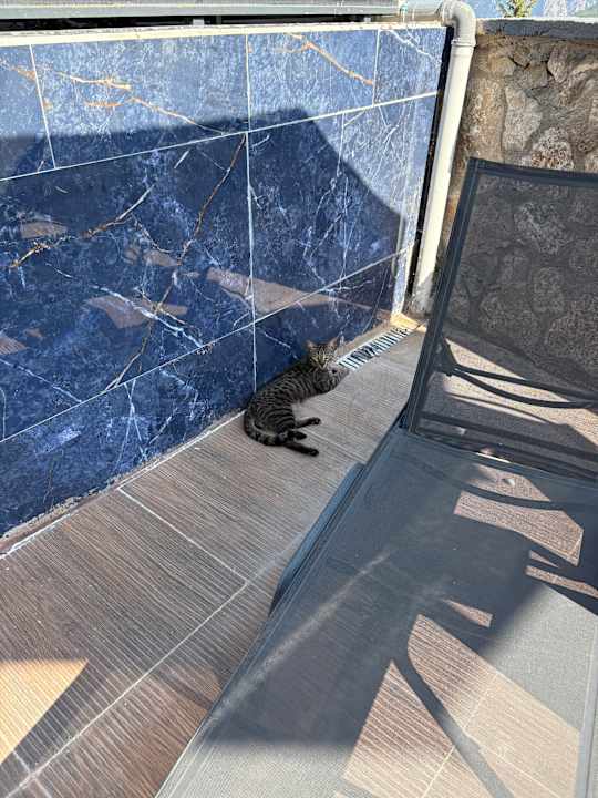 Sonstiges Geyikbayiri Mountain Holiday Village