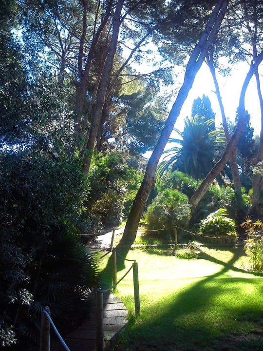 Gartenimpression Lago Garden