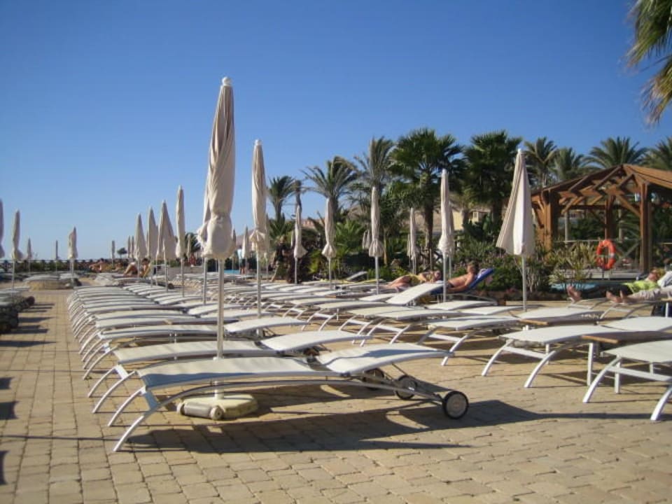 Liegen am großen Pool R2 Pajara Beach