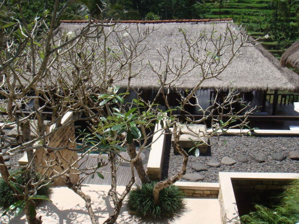 Feuer-Estate COMO Shambhala Estate