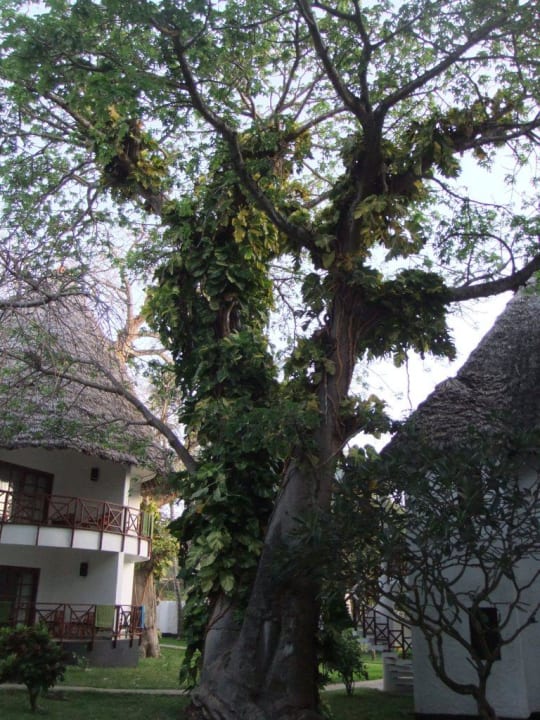 Baobab Neptune Village Beach Resort & Spa