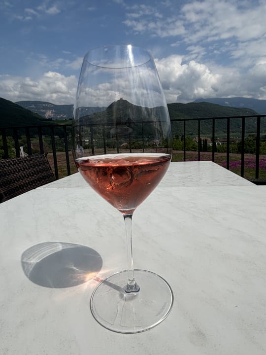 Ausblick Hotel Thalhof am See