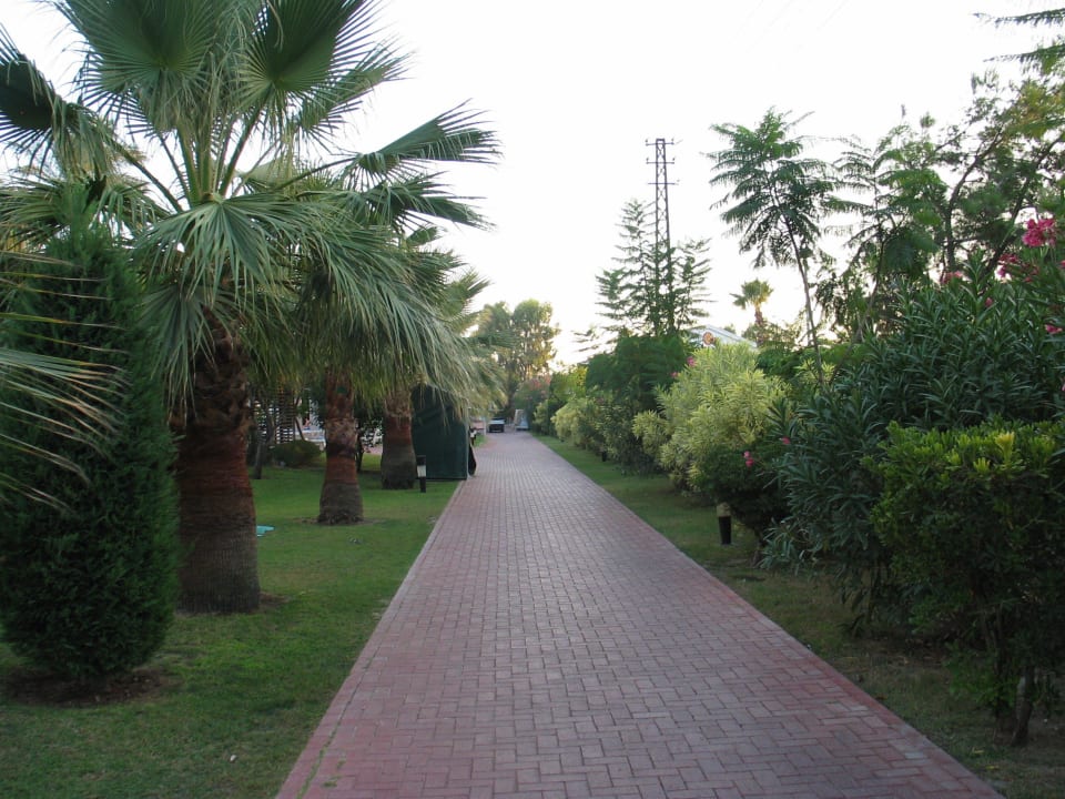 Weg von den Villen zum Pool/Strand Sunis Elita Beach Resort & Spa