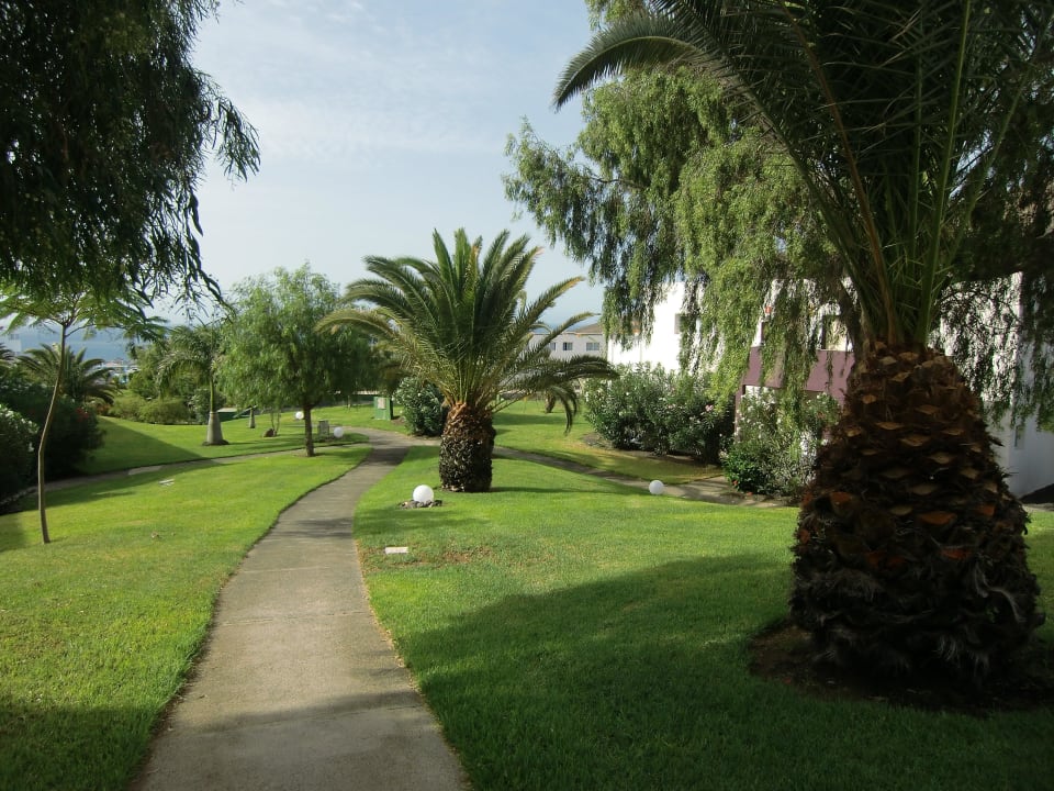 Garten allsun App.-Hotel Esquinzo Beach