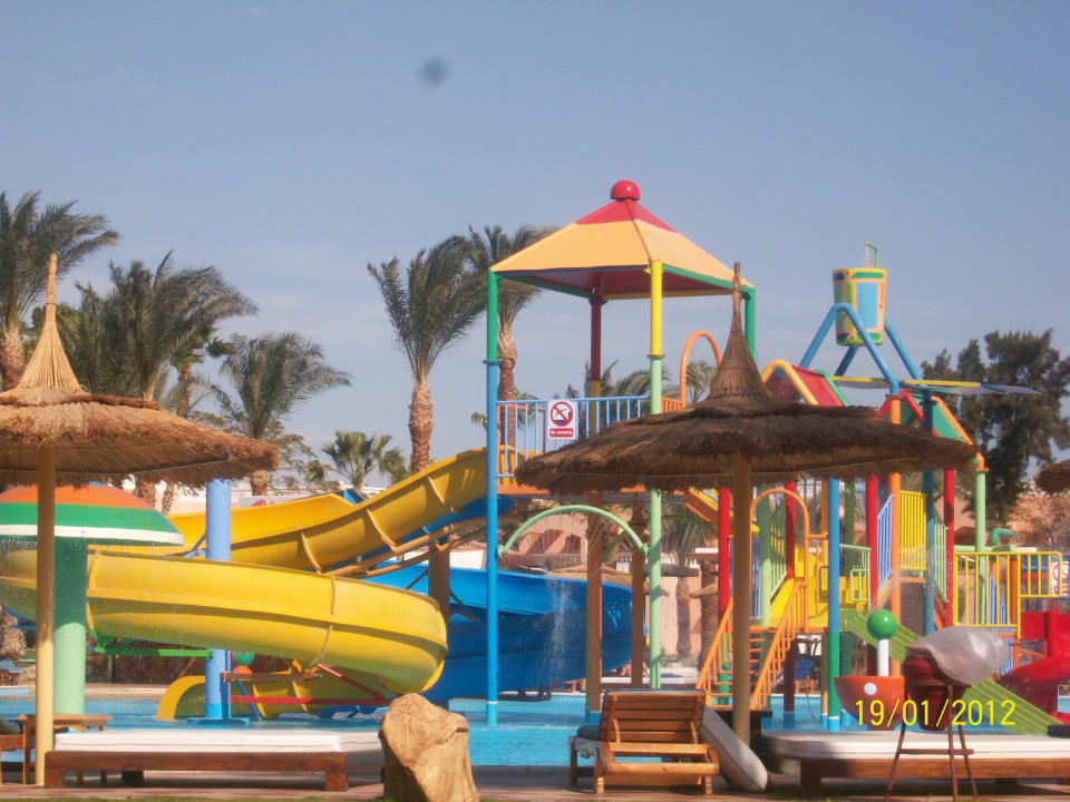 Alle Pools der Albatros Kette kostenfrei nutzen Beach Albatros Resort