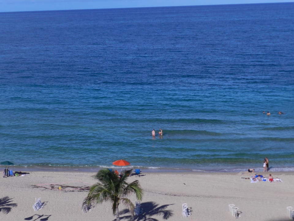 Ausblick vom Zimmer Hotel W Fort Lauderdale