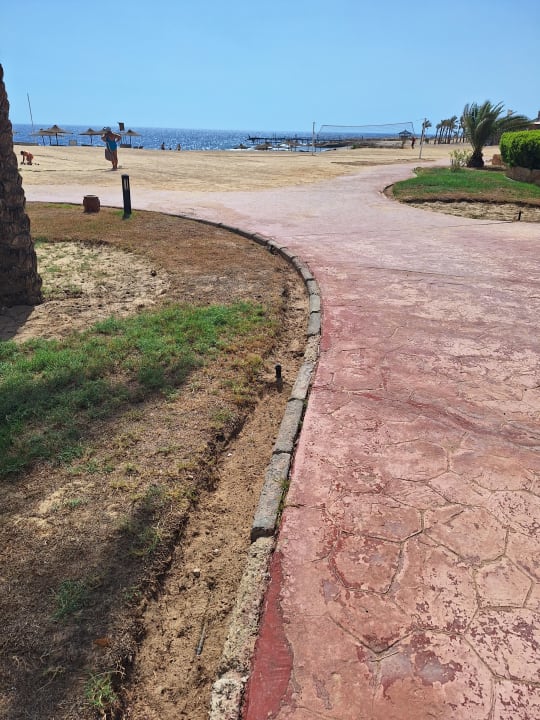 Gartenanlage Coral Hills Resorts & SPA