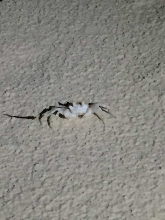 Strand Kuredu Island Resort & Spa