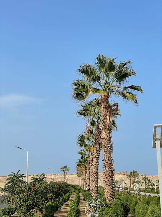 Außenansicht Pickalbatros Vita Resort - Portofino Marsa Alam