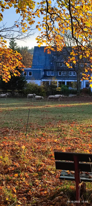 Ausblick Berghotel Hoher Knochen