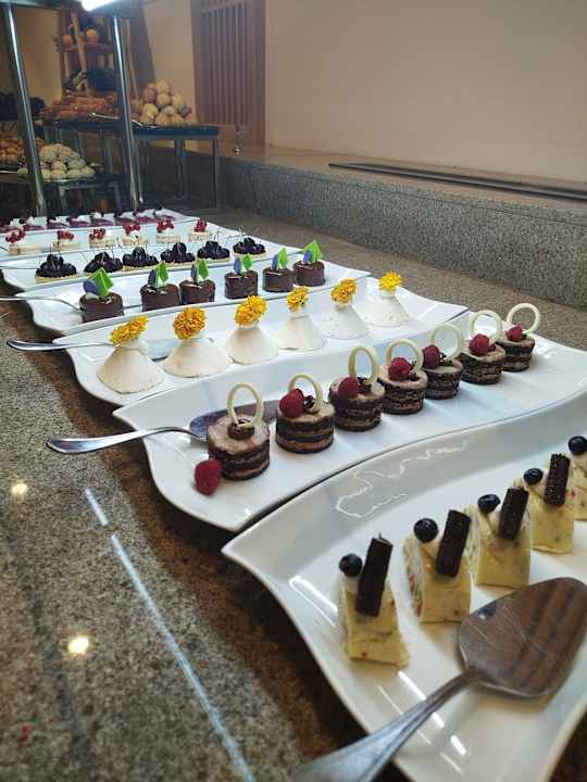 Gastro JAZ Elite Asteria