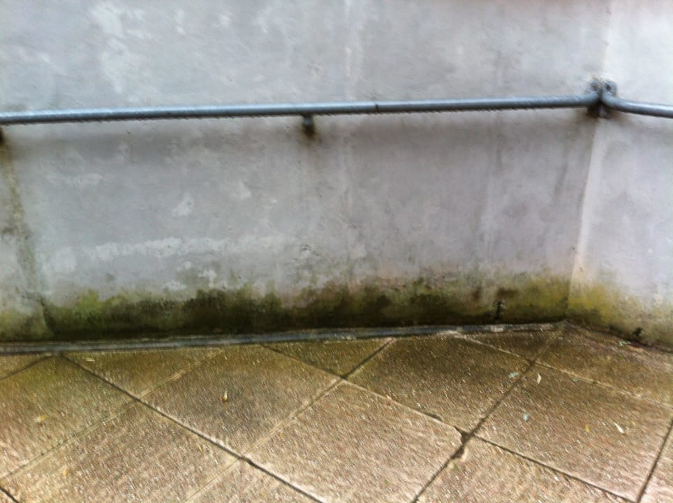 Außenanlage Hotel Zur Schönen Aussicht