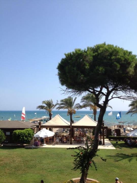 Strandbar Papillon Ayscha