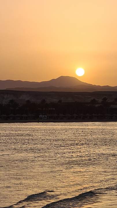 Ausblick Steigenberger Resort Alaya Marsa Alam - Red Sea - Adults only
