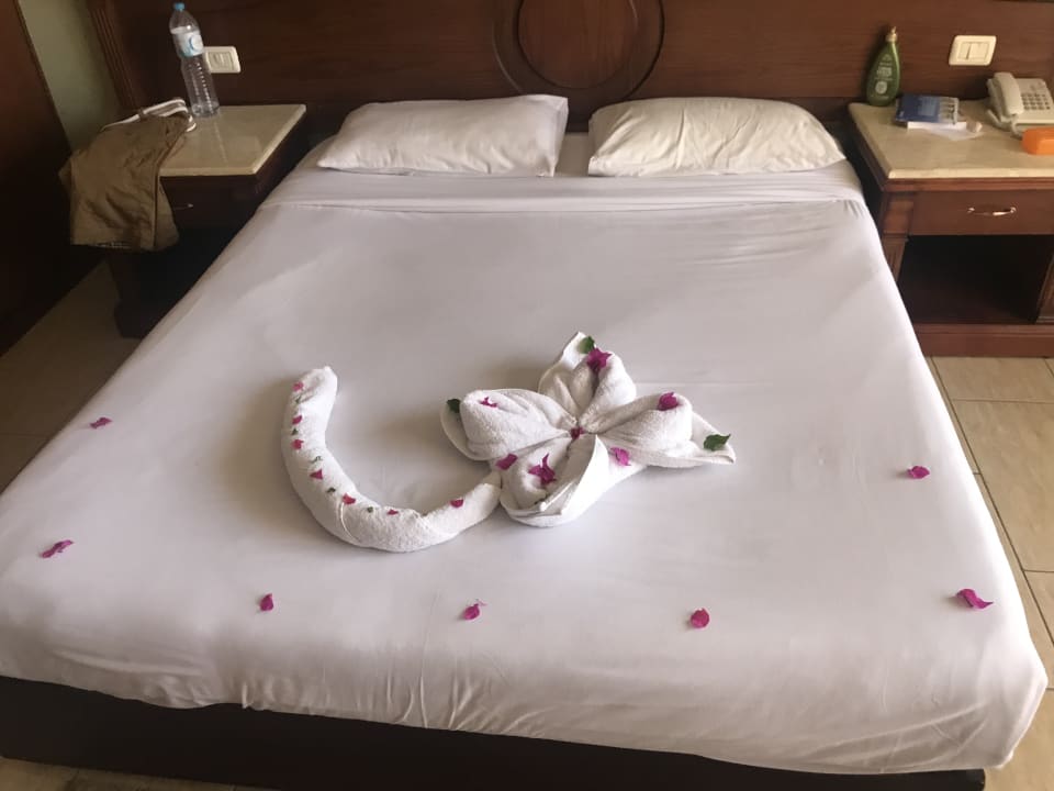 Zimmer Regency Plaza Aqua Park & Spa