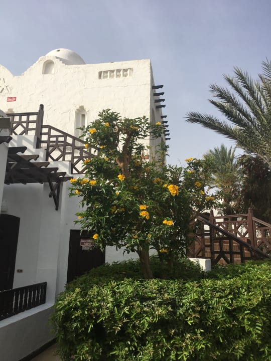 Gartenanlage Arabella Azur Resort