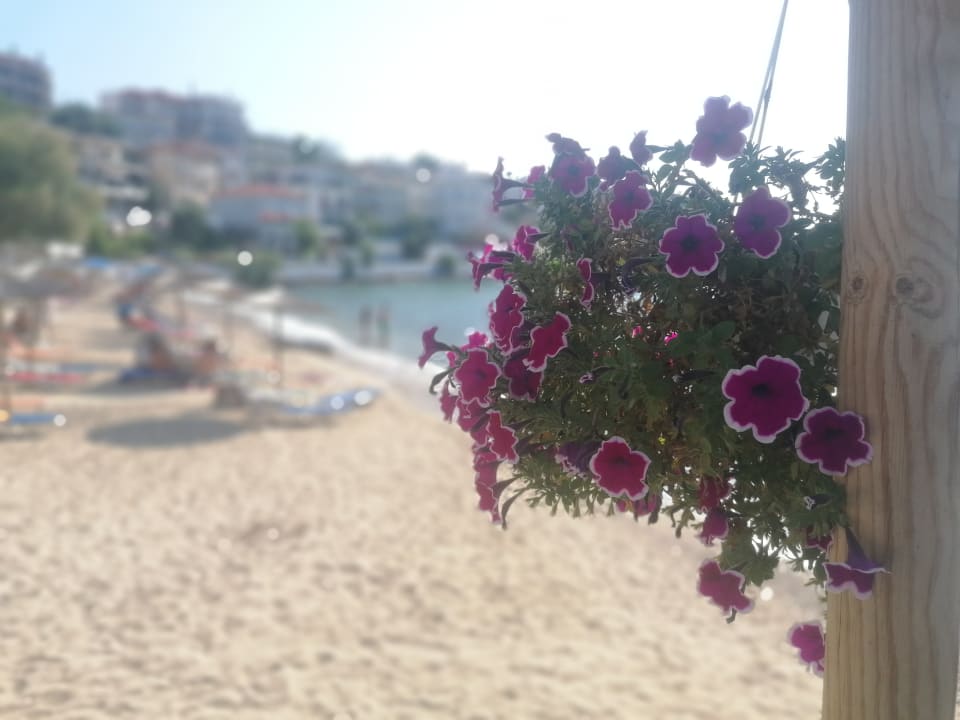 Strand Lithorama Boutique Suites