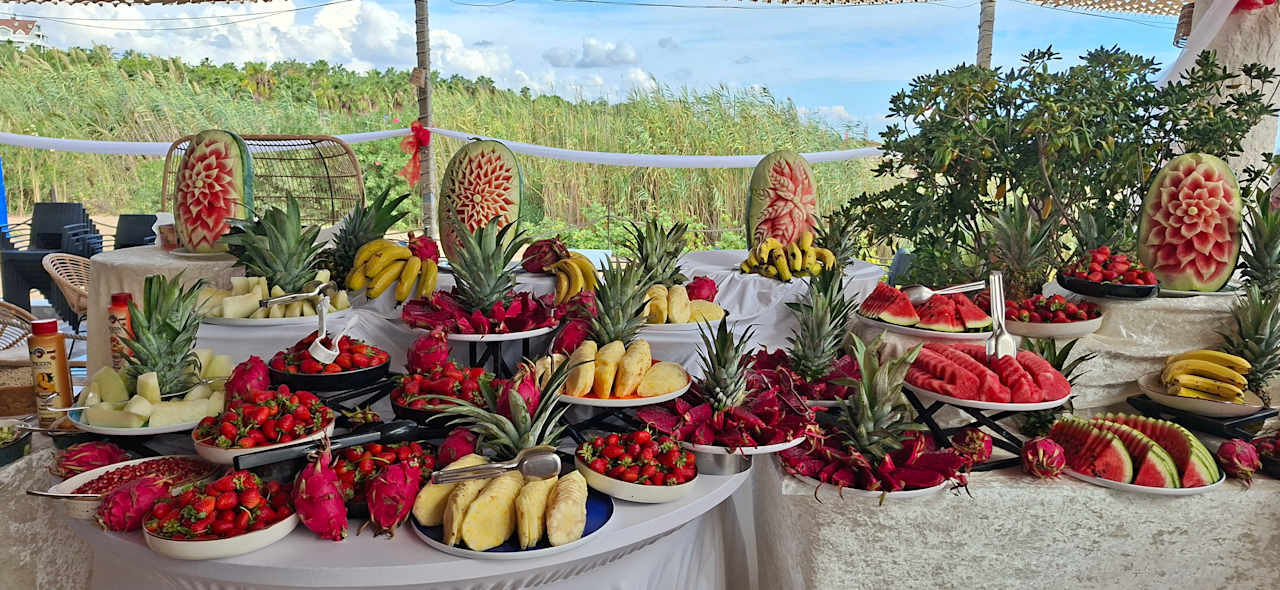 Strand Seashell Vega