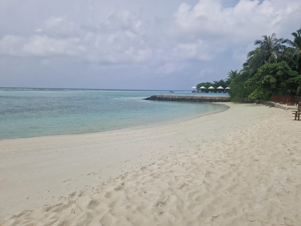 Strand Summer Island Maldives