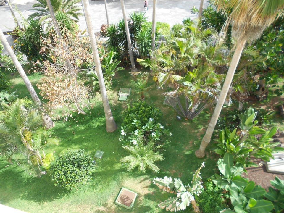 "Garten von oben" H10 Tenerife Playa (Puerto de la Cruz