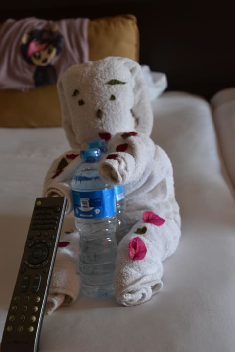 Noch ein Überraschungsgast Jaz Dar EL Madina