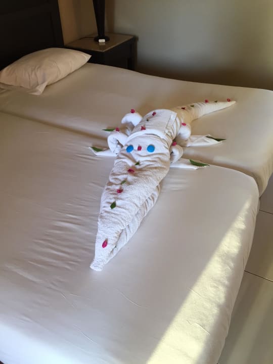 Zimmer Jaz Dar EL Madina