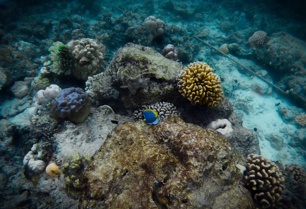 Riff NH Collection Maldives Reethi Resort