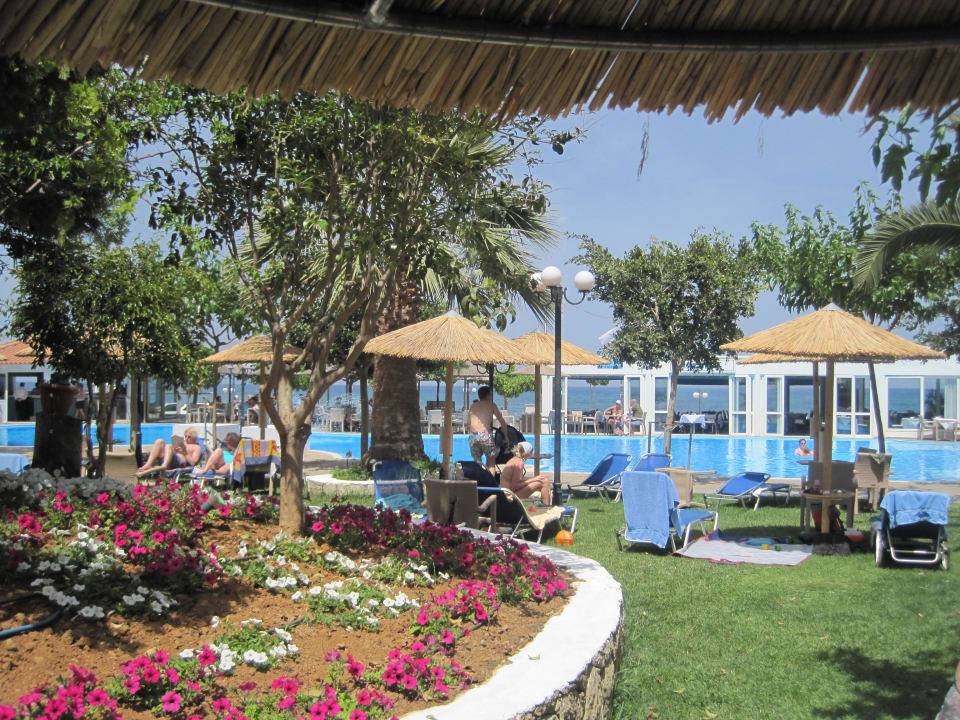 Garten mit Pool Corissia Beach Hotel