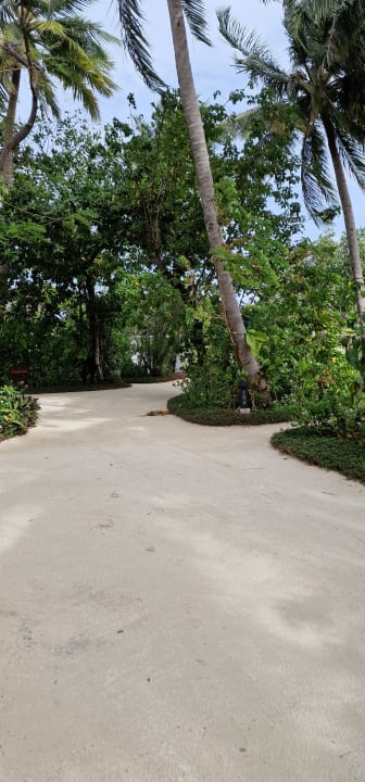 Gartenanlage Outrigger Maldives Maafushivaru Resort