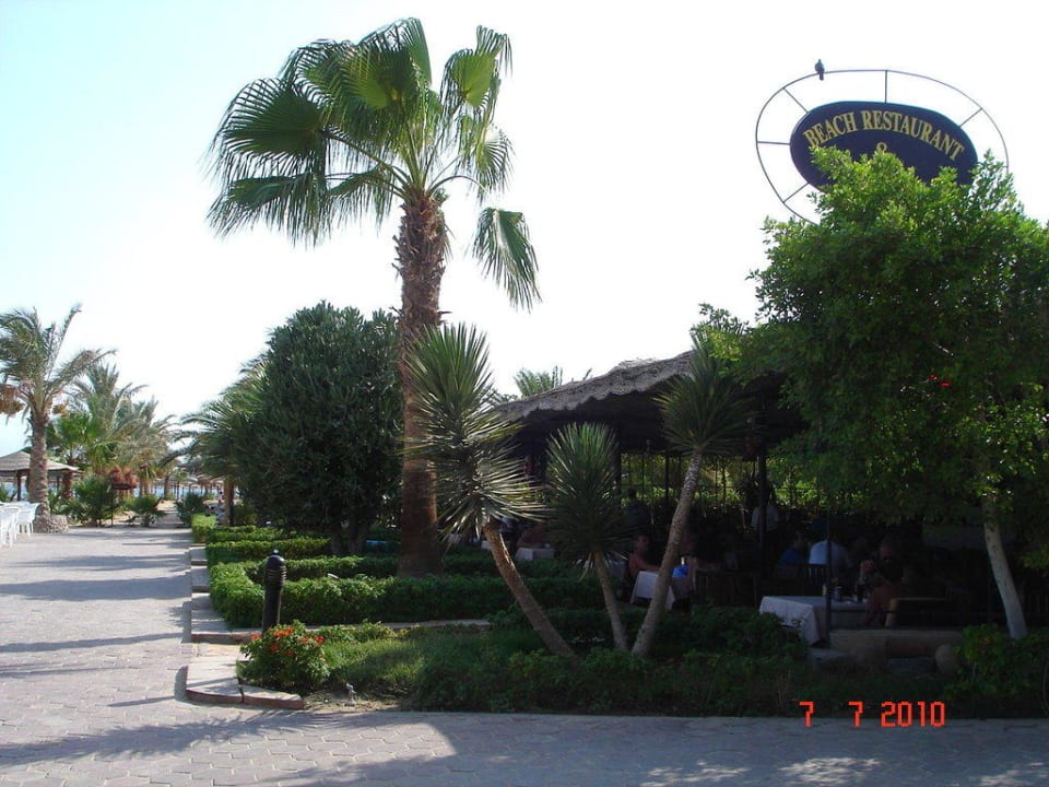 Beach-Bar von außen Fort Arabesque Resort, Spa & Villas