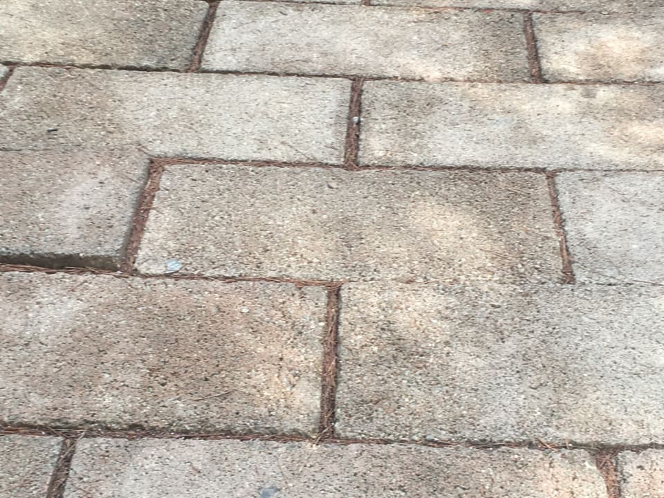 Gartenanlage Lago Garden