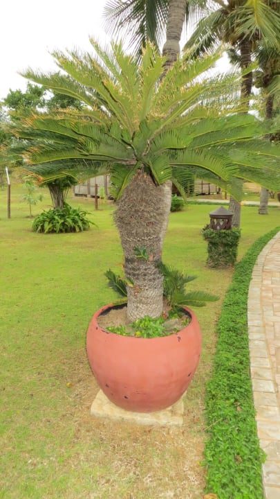 Gartenanlage Pandanus Resort