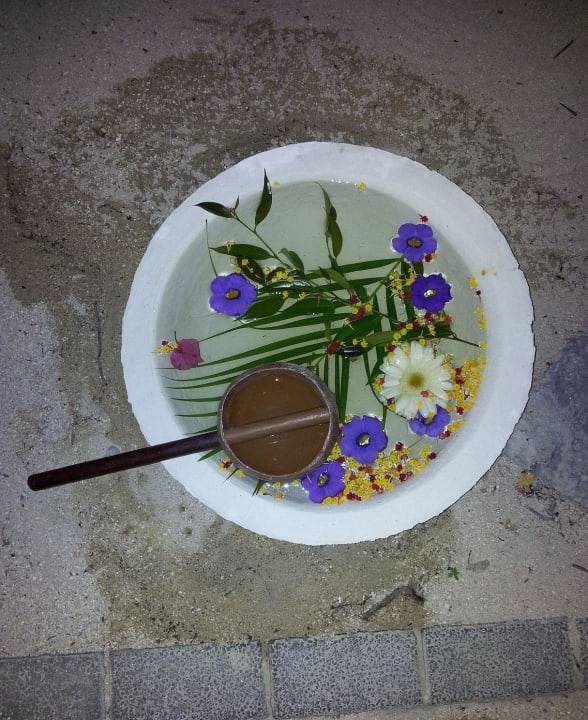 Schwimmblumen am Eingang Veranda Pointe aux Biches Hotel