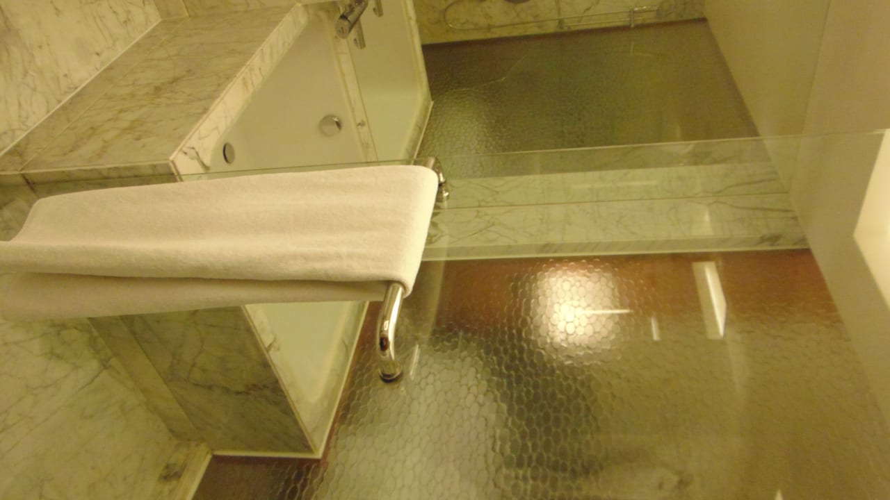 Zimmer Hotel Hyatt Regency Delhi