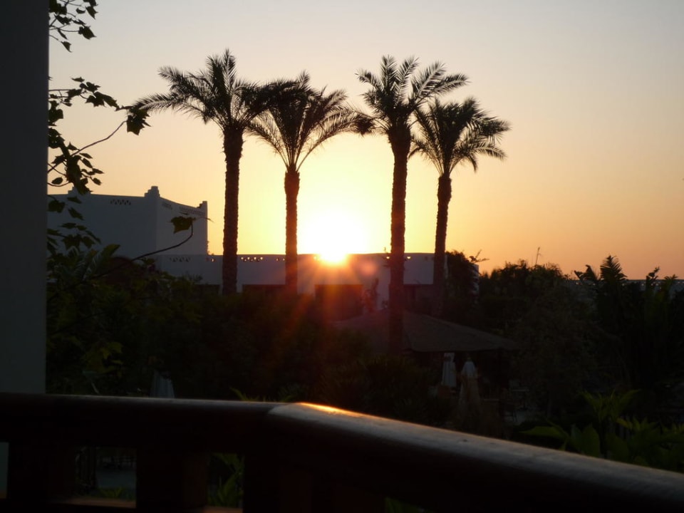 Sonnenuntergang Ghazala Gardens