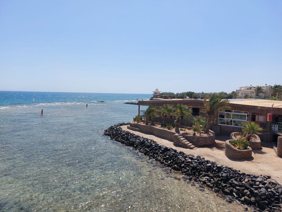 Ausblick Desert Rose