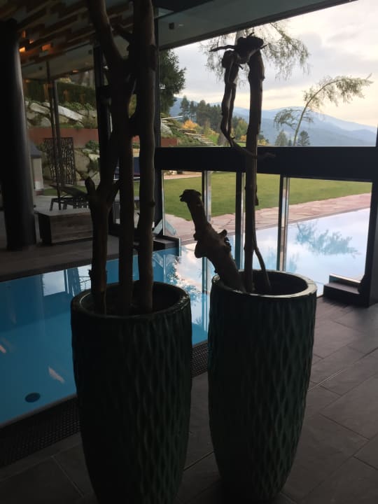 Pool My Arbor - Dolomites
