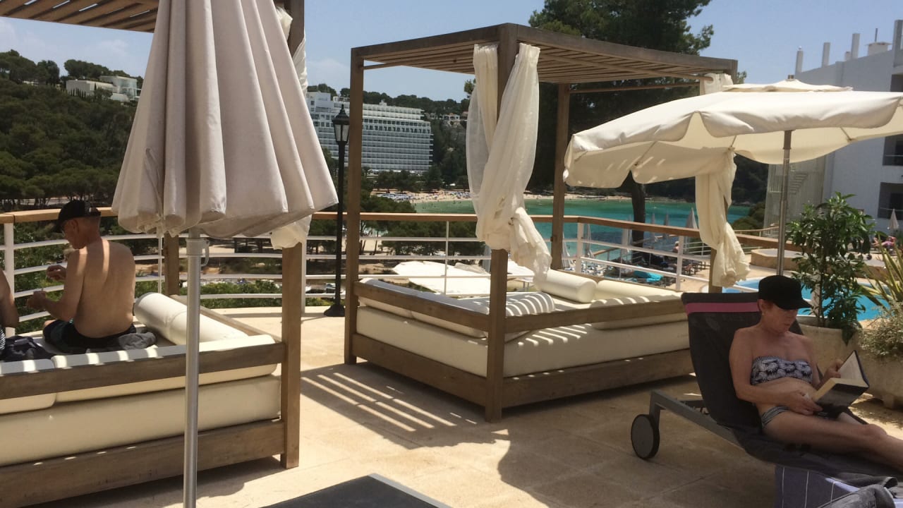 Sonstiges Artiem Audax