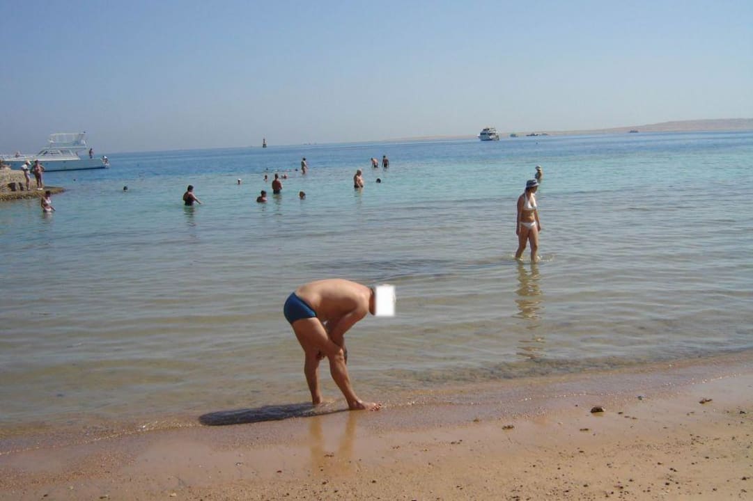 Morze King Tut Resort