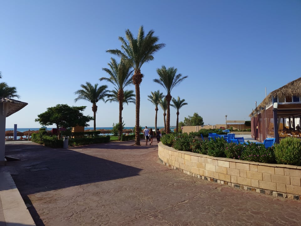 Gartenanlage Sentido Caribbean World Soma Bay
