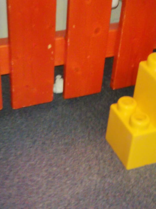 Sport & Freizeit AHORN Hotel Am Fichtelberg