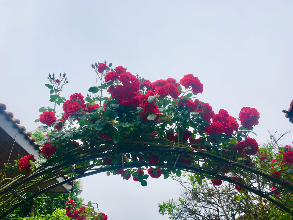 Gartenanlage Özlem Garden Hotel