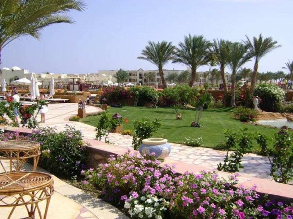 Сидя в баре у бассейна Regency Plaza Aqua Park & Spa