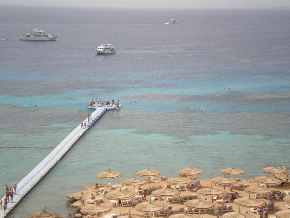 Strand und Steg Hotel Reef Oasis Palms