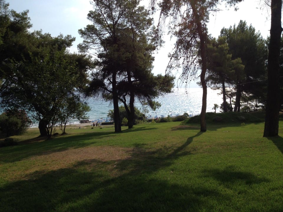 Blick runter zum Meer  Aegean Melathron Thalasso Spa Hotel