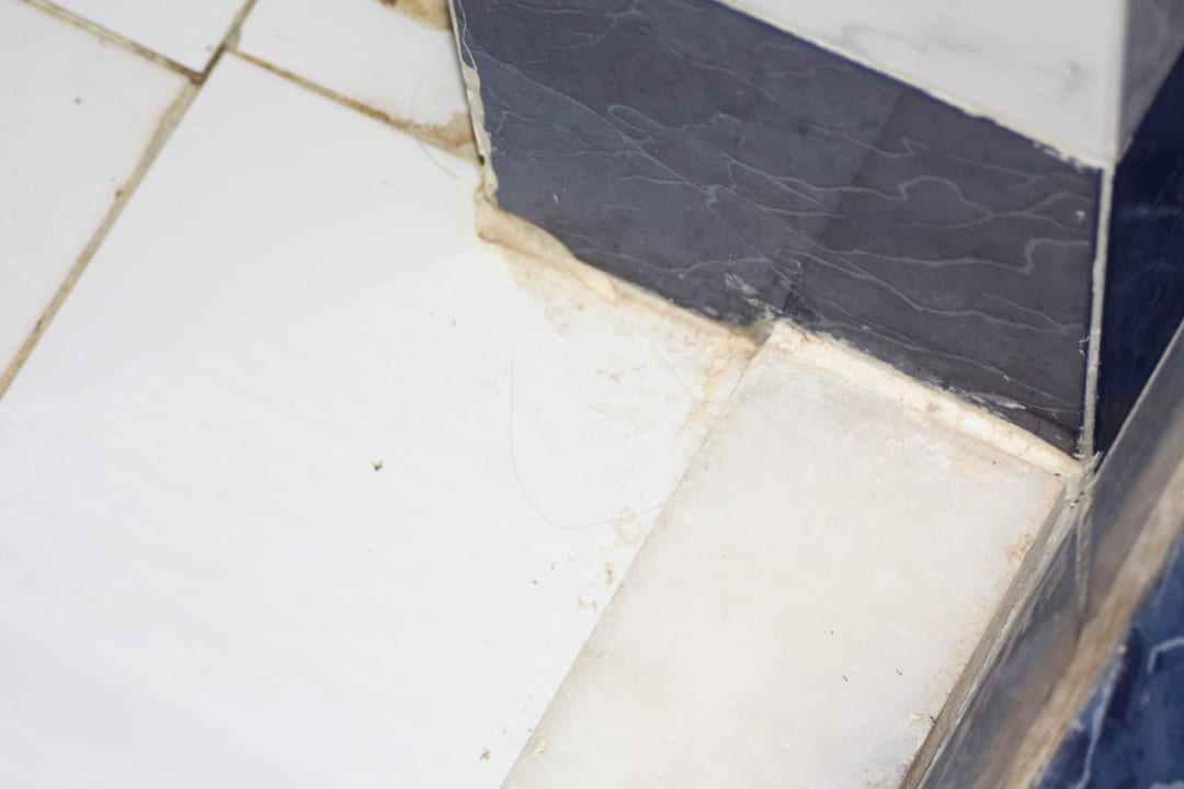 Ścieżki dla mrówek Desert Rose