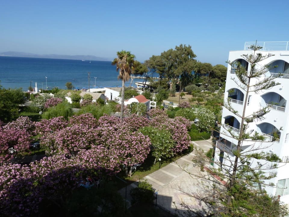 Blick von unserem Zimmer Continental Palace